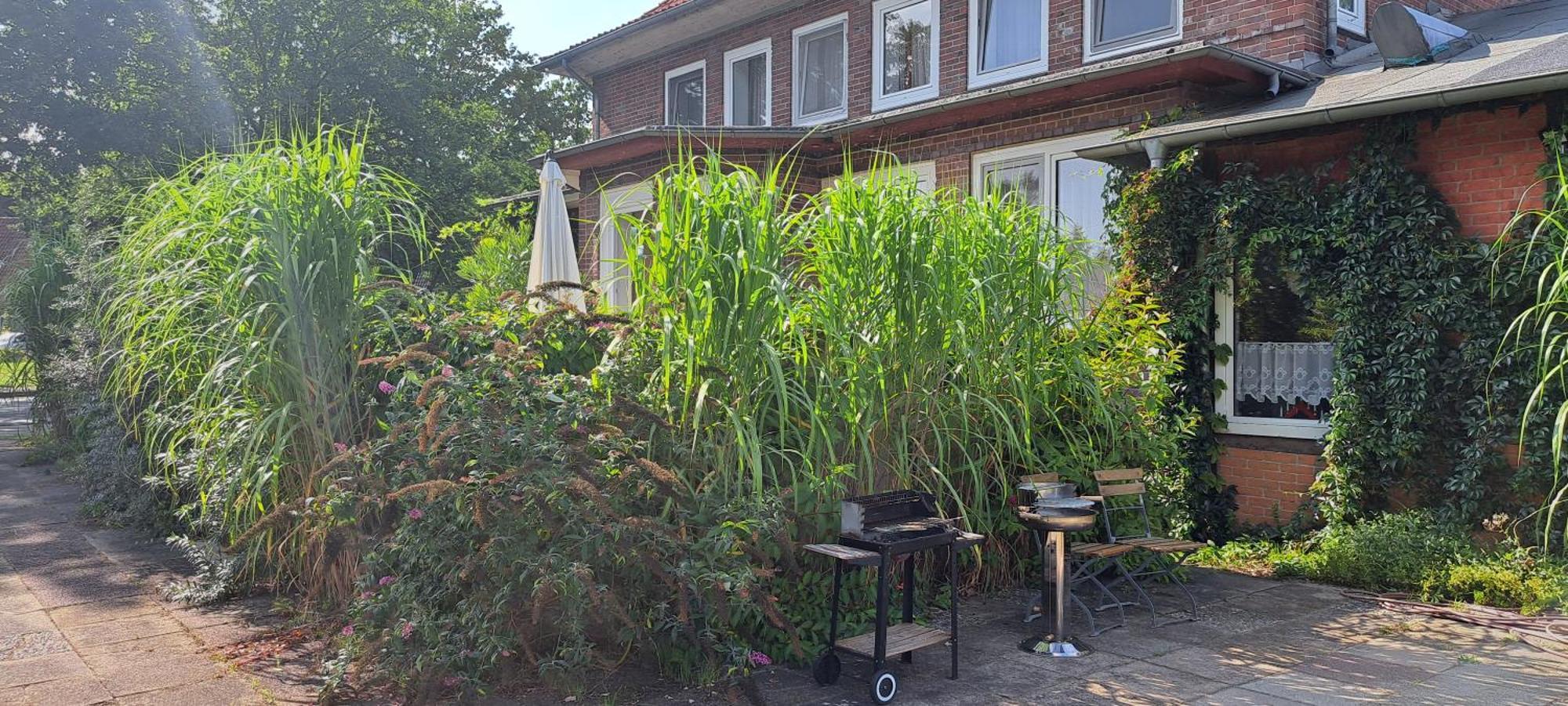 Schillers Landhaus Neu Darchau Eksteriør billede
