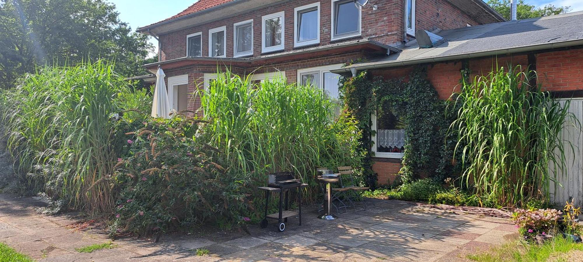 Schillers Landhaus Neu Darchau Eksteriør billede