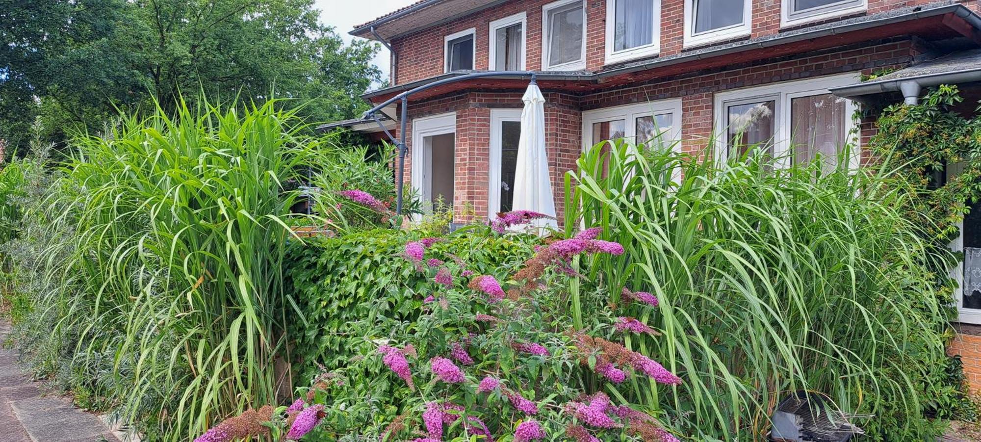 Schillers Landhaus Neu Darchau Eksteriør billede